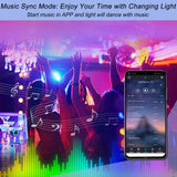 LED Strip Light Controller with APP Control and Music Sync via Bluetooth-2 Ports