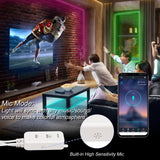 LED Strip Light Controller with APP Control and Music Sync via Bluetooth-2 Ports